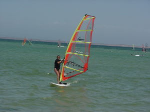 windsurf