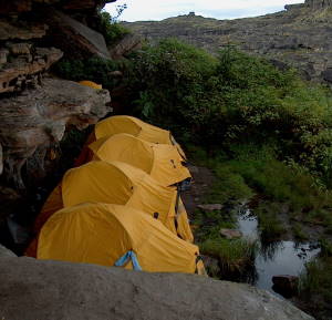 carpas en el Roraima