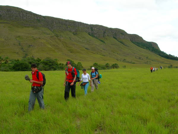 caminando por la gran sabana