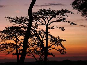 Atardecer en los Llanos