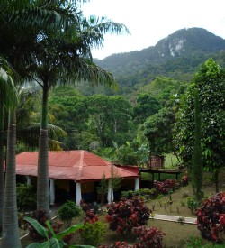 Posada AmaneSeres