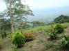 Granja Los Dulcitos
