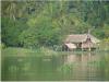 Campamento Boca de Tigre