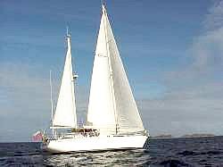 Velero Koala