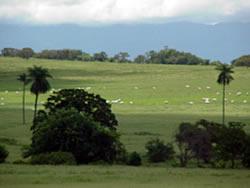 Hato El Cristero