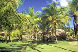 Posada Playa de Uva/Parque Nivaldito
