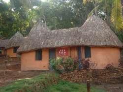 Orinoco Paria Camp