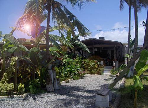Casa Lola