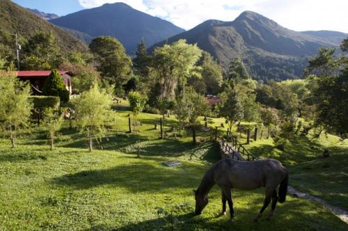 Caba�as vacacionales Terrefinca