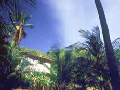 Posada Playa de Uva/Parque Nivaldito