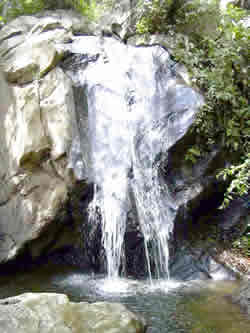 Hacienda La Calceta