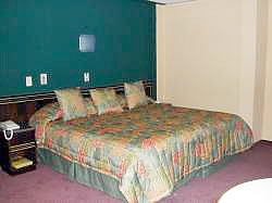 Hotel Milenio