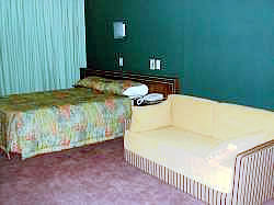 Hotel Milenio