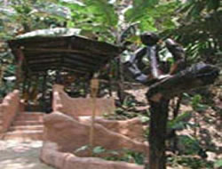 Pozo Suruapo