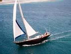 Velero Turpial