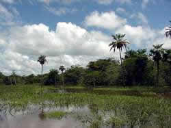 Posada Hato La F�
