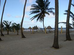 Cocoroa Country & Beach Club