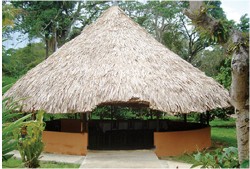 Posada Bambusal