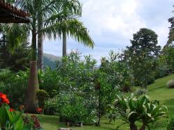 Posada Camino de Guag�