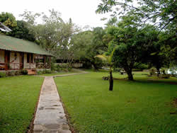 Parakaupa Canaima