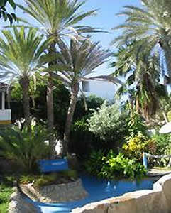 Hotel Windsurf Paradise
