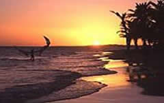 Hotel Windsurf Paradise