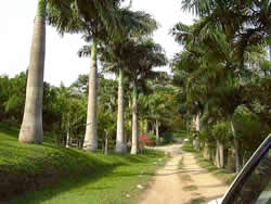 Hacienda La Calceta