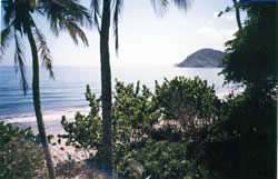 Habitat Paria