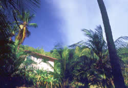 Playa de Uva