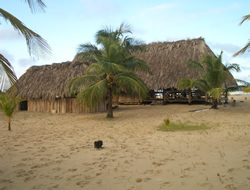Tortuga Lodge