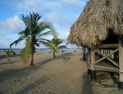 Tortuga Lodge