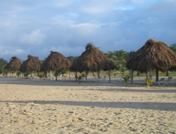 Tortuga Lodge