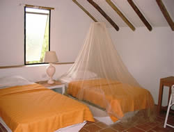 Tortuga Lodge