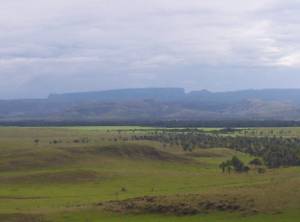 Vista del Roraima desde la Gran Sabana