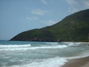CUYAGUA