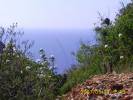 paisaje de puerto cruz