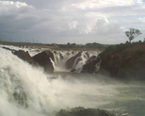 caida la llovizna