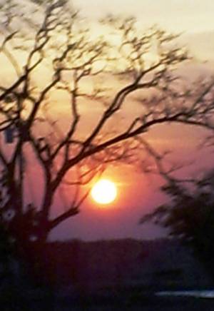 coro al esconderse el Sol!!
