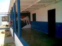 "CARJOAN" PLAYA EL SUPI FALCON