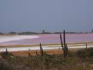 Salina de Bajarigua