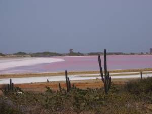 Salina de Bajarigua