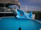 Parque Aquatica