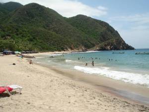 Costas de Aragua