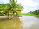 Los Colores del Delta