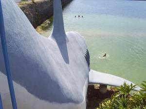 Tobogan Agua de moises