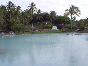 Aguas de Moises