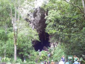 Cueva del Guacharo