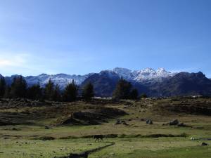 NEVADA EN LA SIERRA