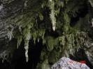 Cueva del Guacharo