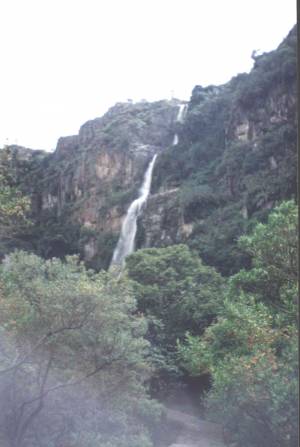 Quebrada del Vino Barbacoas Estado Lara